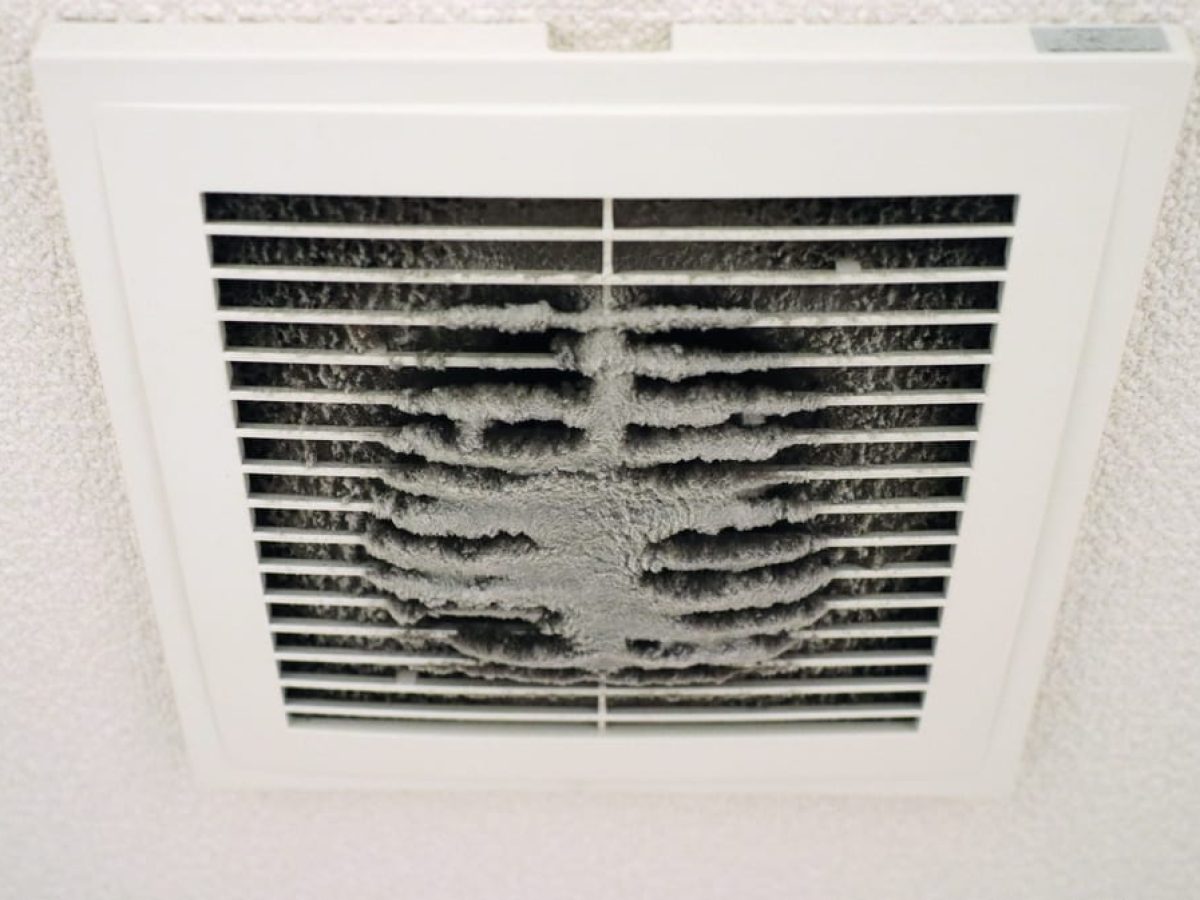 Why You Need to Have Your Ducts Cleaned